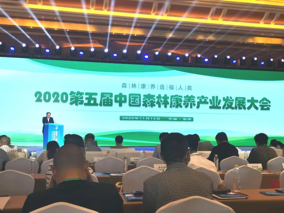 喜報(bào)！江油竇圌山景區(qū)榮獲“全國(guó)森林康養(yǎng)基地試點(diǎn)建設(shè)單位”稱號(hào)！